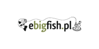 ebigfish logo