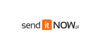 Send It Now logo