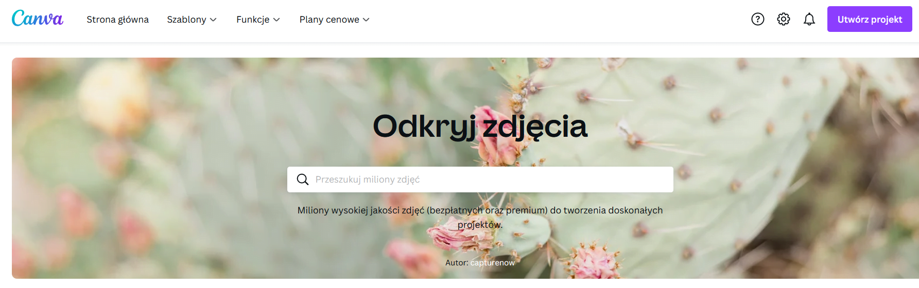 Baza zdjęć Canva