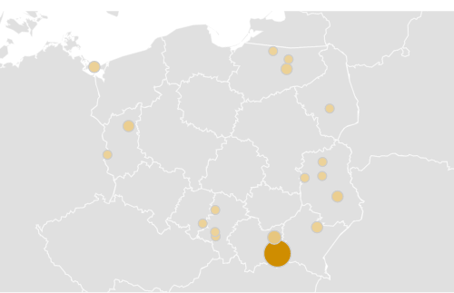 Co to jest Google Trends i jak korzystać w SEO?